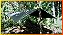 Tarp EX-FA/A2+ Mata Atlântica 400x300 cm Nylon Emborrachado Impermeável com 22 Pontos de Ancoragem - Imagem 2
