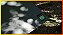 Tarp EX-FA/A2+ Mata Atlântica 400x300 cm Nylon Emborrachado Impermeável com 22 Pontos de Ancoragem - Imagem 4