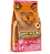 Special Cat - Filhotes - Imagem 1