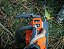 Motosserra a Bateria T540i XP® - Imagem 2