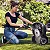 Automower - Robô Cortador de Grama 315 Mark II - Imagem 3