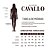 Camisa Kids Masc. Little Rider Zenz Western - Coleção Cavallo - Imagem 5