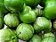 Tomatillo mexicano - Polpa congelada - Imagem 4
