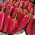 Pimenta Jalapenho Vermelha In Natura | Fresca, Maturada e Autêntica Mexicana - Imagem 2
