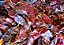 Pimenta Guajillo Inteira 50 grs - Imagem 1