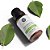 ÓLEO ESSENCIAL - MELALEUCA - 10ML - Imagem 4