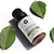 ÓLEO ESSENCIAL - ALECRIM - 10ML - Imagem 4