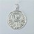 PINGENTE FOLHEADO A PRATA COM 50 MILÉSIMOS + VERNIZ DIAMOND PINGENTE PALMEIRAS 22MM PRPG000067 - Imagem 1