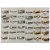 KIT ANEL E ALIANÇA EM AÇO INOXIDÁVEL E 10 EM  AÇO DOURADO MODELOS DIVERSOS E NUMERAÇÃO DE 12 ATÉ 33 KIT COM 36 UNIDADES ACKI000024 ACKI000024 - Imagem 1