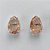 BRINCO FOLHEADA A PRATA COM 50 MILÉSIMOS + VERNIZ DIAMOND - BRINCO DE PINO BASE ALTA FUSÃO SALMÃO 10X14MM (PRA463) PRBR001220 - Imagem 1
