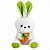 Coelho Da Páscoa Pelúcia Com Cenoura Fofo Para Cestas E Mesa - Imagem 11