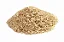 Psyllium - Imagem 1
