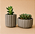 Conjunto vaso Canelado - Imagem 2