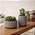 Conjunto vaso Canelado - Imagem 3