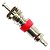 ST10135-5405 Núcleo de Válvula 0-200PSI - Imagem 1
