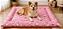 COLCHONETE PET TAMANHO G 90X65 - 100% IMPERMEÁVEL - Imagem 3