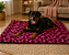 COLCHONETE PET GIGANTE 100x140 CM - Imagem 3