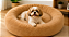 CAMA PET NUVEM GRANDE 70X70 CM - Imagem 3