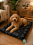 COLCHONETE PET TAM M 48X60 CM - Imagem 1