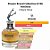 Brand Collection G-136 - Scandal - Feminino 100 ml - Imagem 2