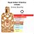 Perfume Arabe Orientica Luxury Collection Royal Amber EDP 80ml Unissex - Imagem 2