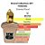 Brand Collection 337 - Lina Feminino 25ml - Imagem 2