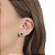 Conjunto Redondo Zircônia Verde Com Micro zircônia Ao Redor (Brinco E Pingente) - Imagem 3