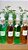 Spray protetor 2025 - Imagem 1