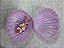 PetBox Encantadores Conchas do mar - Imagem 4