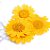 Flor Seca - 6 Unidades - Imagem 2
