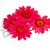 Flor Seca - 6 Unidades - Imagem 9