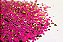 Glitter Hexágono com Folha de Ouro Pink - 7g - Imagem 1