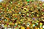 Glitter Hexágono Holográfico Dourado - 7g - Imagem 1