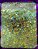 Glitter Mix Rio de Janeiro - 7g - Imagem 1