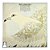 Lp Billy Vaughn - La Paloma - Disco De Vinil Capa Amarela - Imagem 6