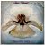 LP Amii Stewart - Paradise Bird - Disco De Vinil 1979 - Hm - Imagem 2