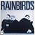 Lp Rainbirds 1987 Boy On The Beach Blueprint Disco De Vinil - Imagem 1