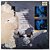 Lp Gruntruck Push Disco De Vinil 1992 - Imagem 3