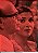 Box 10 DVDs Novela - Pecado Capital - 2014 - Hm - Imagem 4