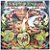 LP Spyro Gyra - Morning Dance - Disco De Vinil 1979 - Hm - Imagem 2