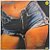 LP Disco Jeans Disco de Vinil 1979 Tina Taylor - Hm - Imagem 3