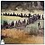 LP Trilha Filme Paint Your Wagon Vinil Importado 1969 - Hm - Imagem 1