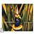 CD Maria Bethânia - Meus Quintais - 2014 - Digipack - Hm - Imagem 1