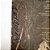 LP Carlos Santana & Buddy Miles - Live! - Vinil Encarte - Hm - Imagem 4