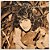 LP Simone - Cigarra - Disco de Vinil 1978 com Encarte - Hm - Imagem 2