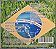 CD The Fevers - Grandes Sucessos do Brasil - Novo - Hm - Imagem 3