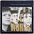 LP The Icicle Works If You Want To Defeat Vinil Encarte - Hm - Imagem 2