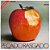 LP Novela - Pecado Rasgado - Internacional - Vinil 1978 - Hm - Imagem 2