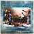 LP Magic Crystal Band The World Is Yours Vinil Encarte - Hm - Imagem 2