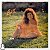 LP Beth Carvalho - Beth - Disco de Vinil 1986 Encarte - Hm - Imagem 1